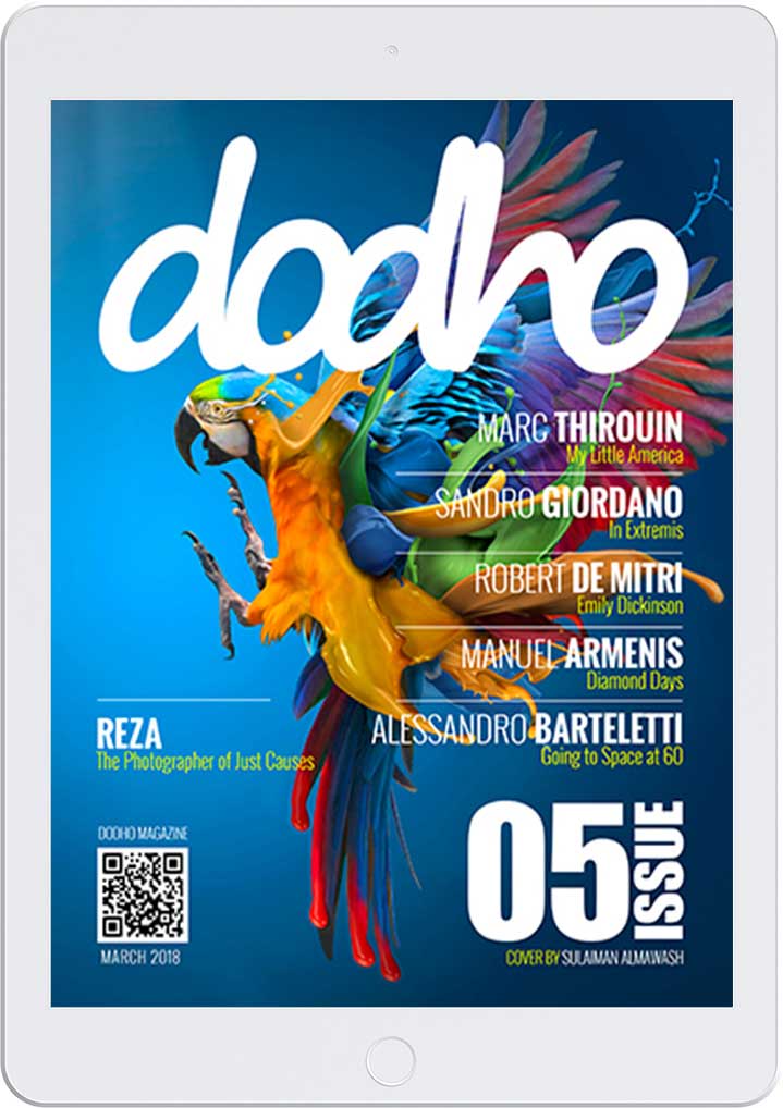 https://www.dodho.com/wp-content/uploads/2018/03/idig05.jpg