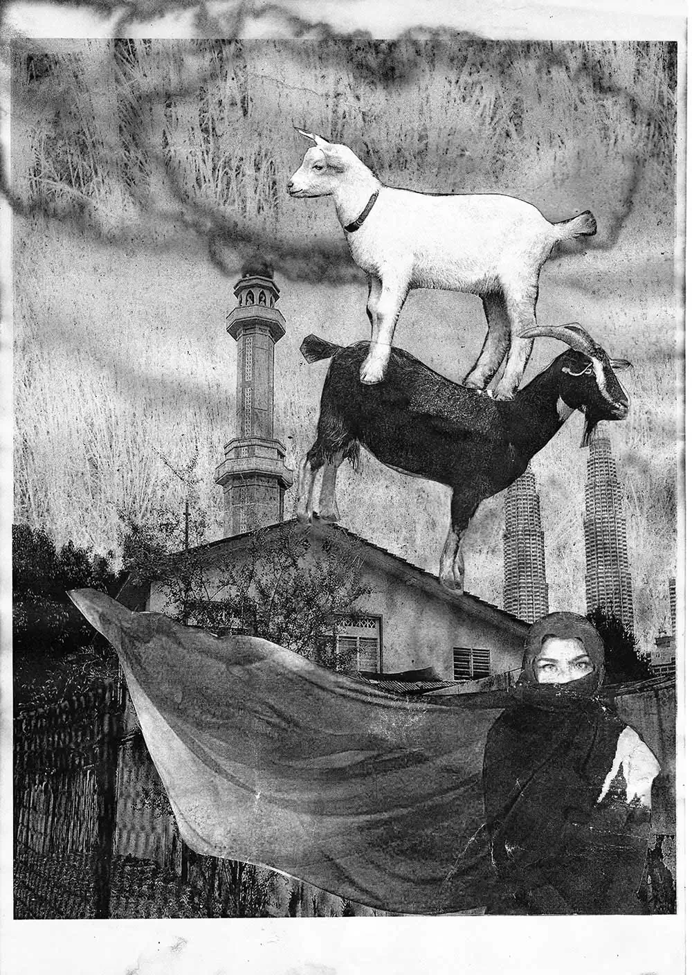 In Goat We Trust by Mohd Azlan Mam Mohd Latib