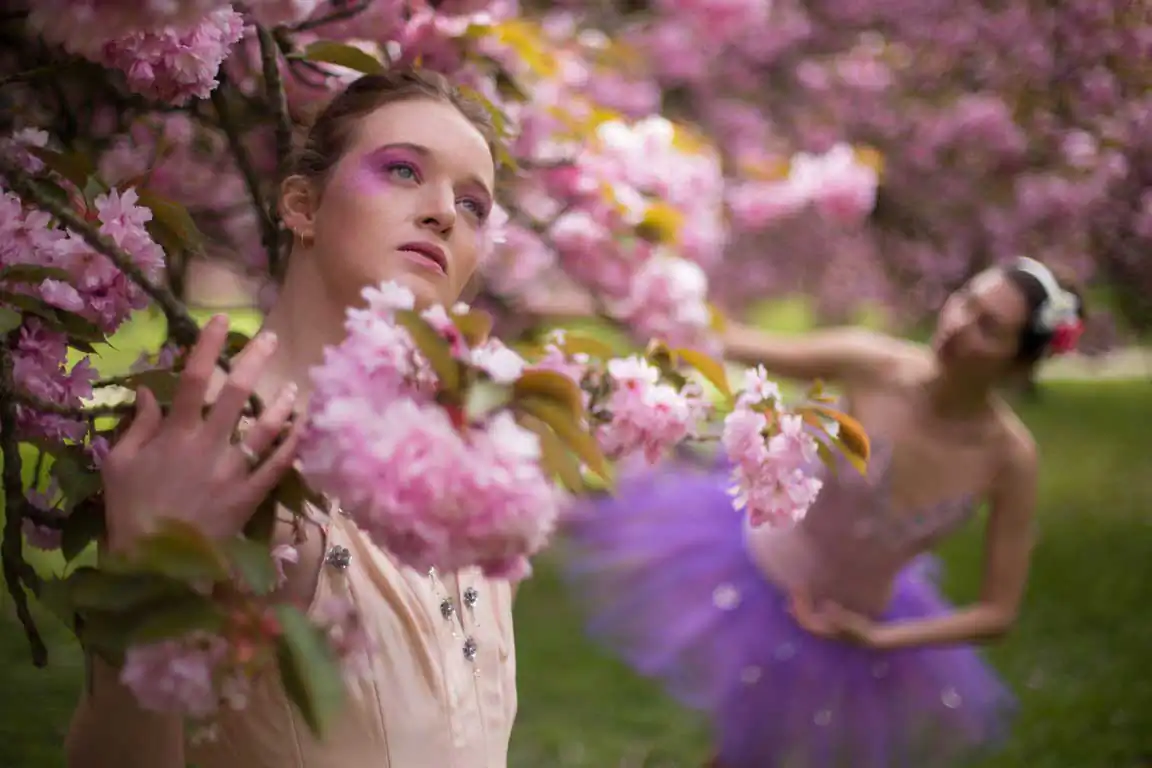 Symphony by Matthieu Colnat