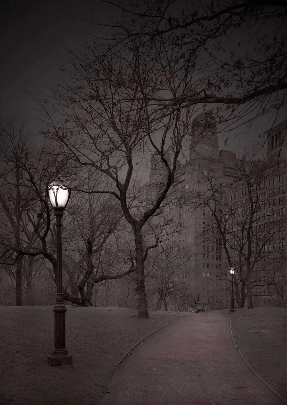 Deep In A Dream-Central Park by Michael Massaia