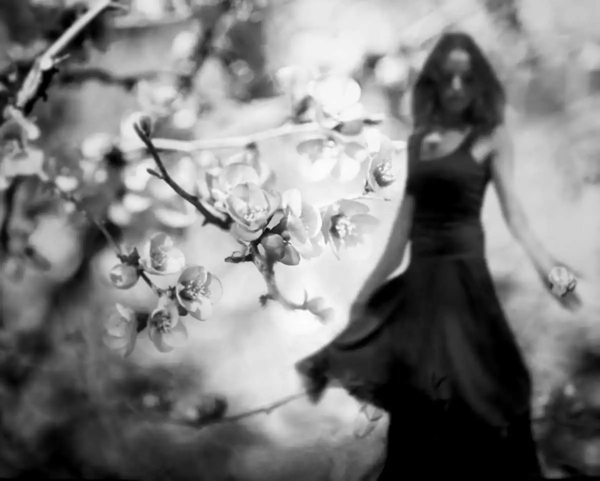 Dans le silence d’une rêverie by Carmelita Iezzi