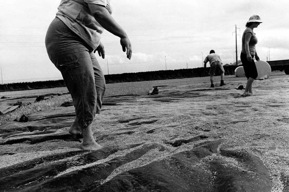 Profound Azores II by Paulo Monteiro