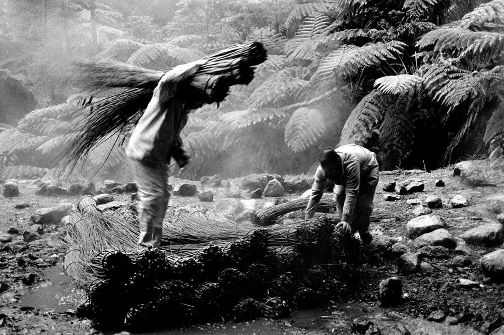 The soul of my people by Paulo Monteiro