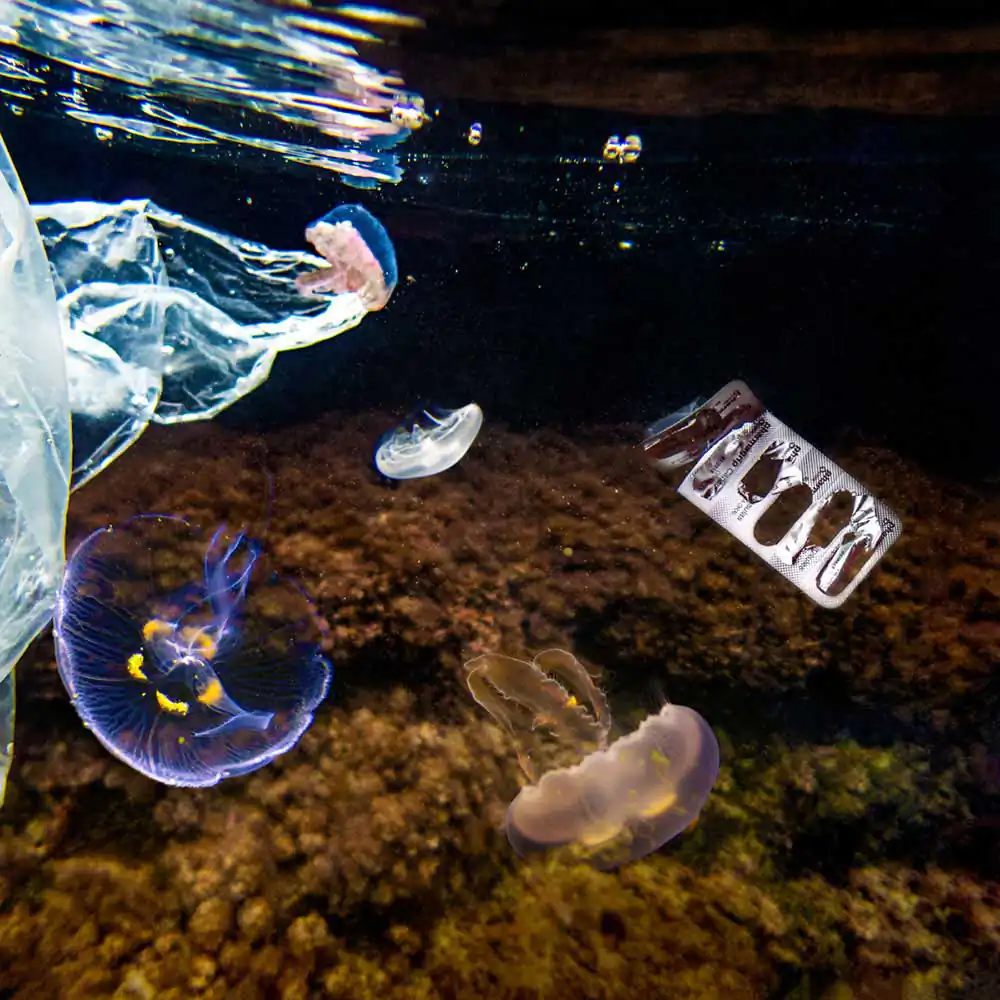 Human Waste I ; Purposeless eco-invasion by Beatriz Glez Sa