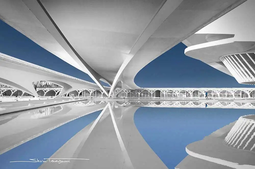 What Makes a Great Fine Art Architectural Photograph? by Sharon Tenenbaum