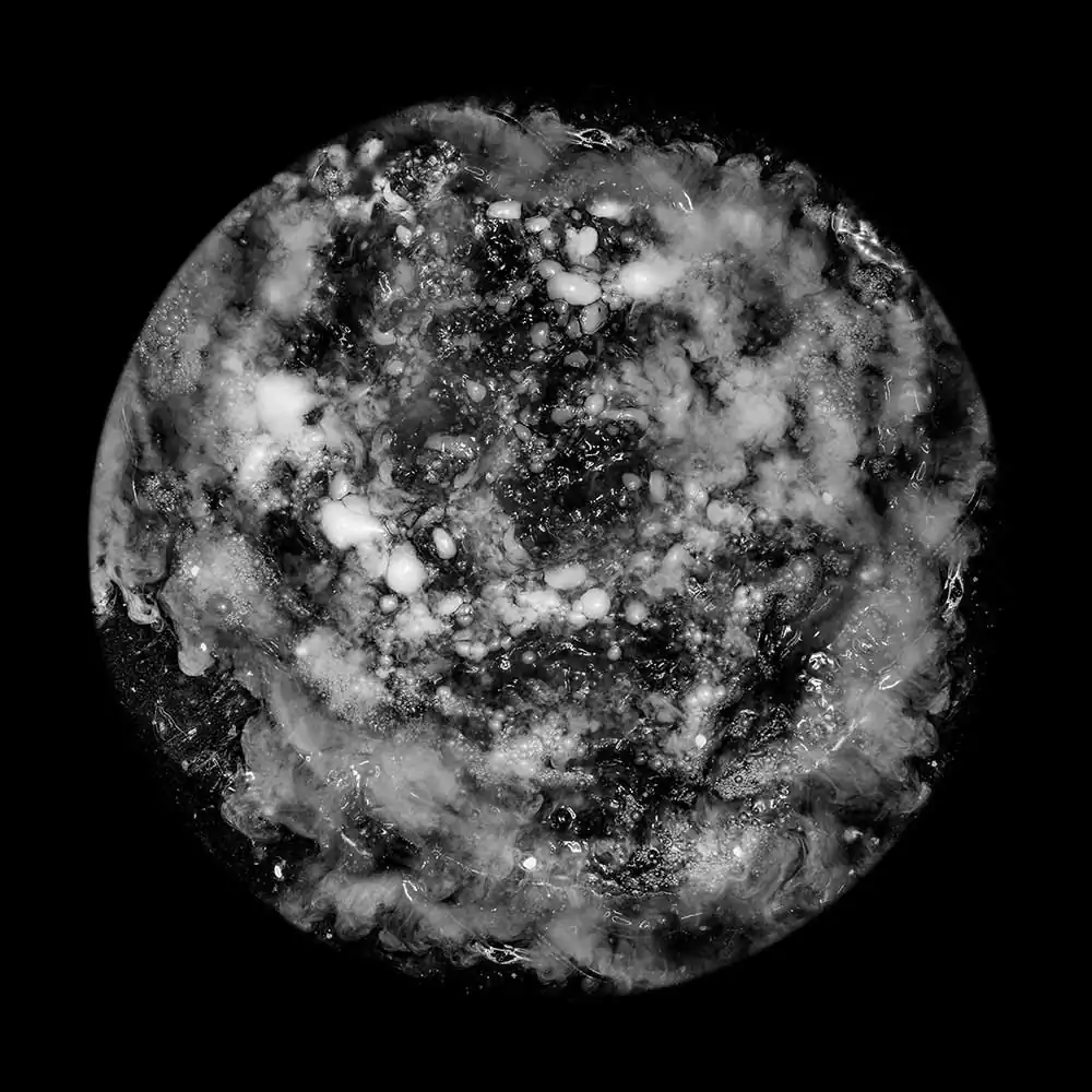 Cosmogony of Wine by Patrick Desgraupes