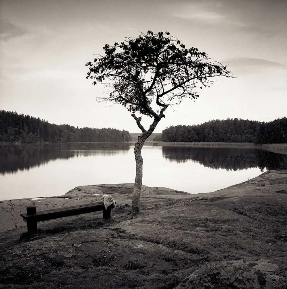 Recanto by Frang Dushaj