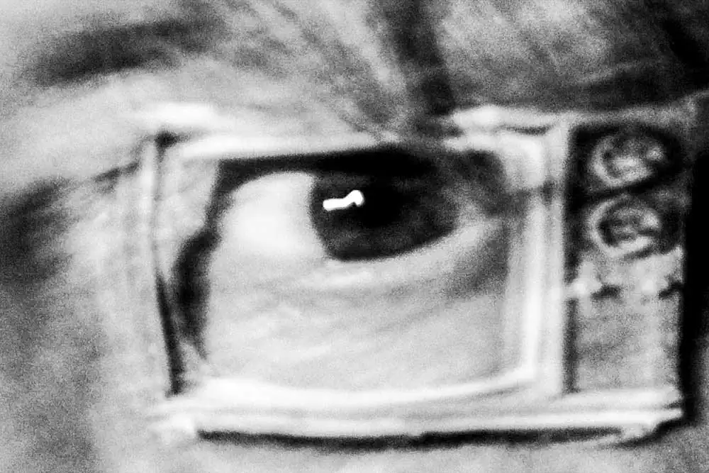 Waking Life by Max Moldau