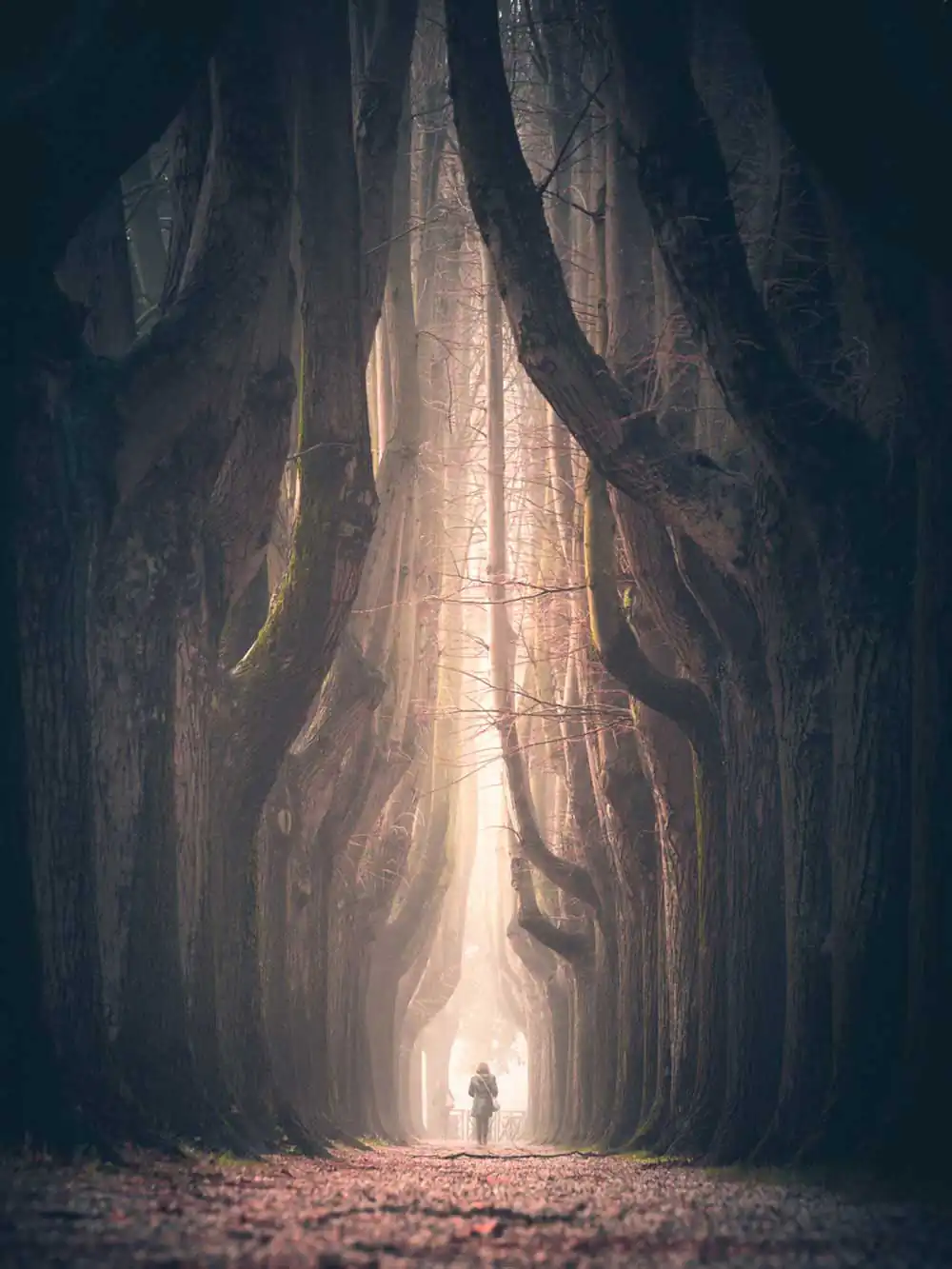 Landscapes by Max Lazzi