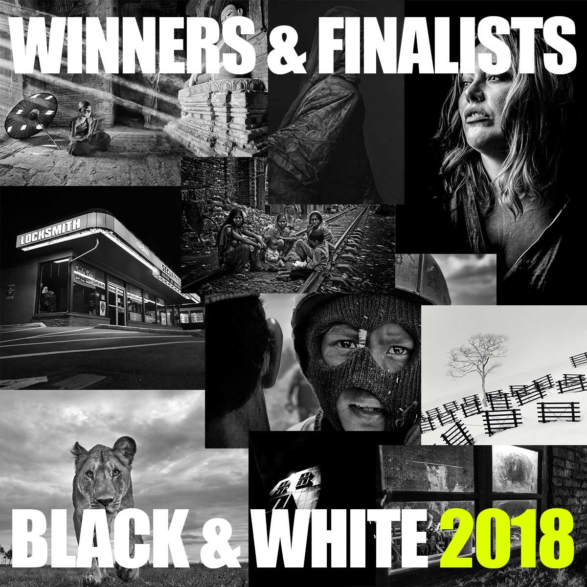 Announcement of the winners of the second edition of Black & White Prizes 2018