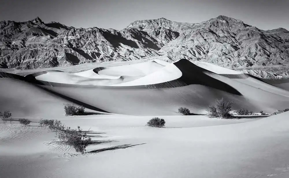 Spirit of the Desert by Susanna Patras