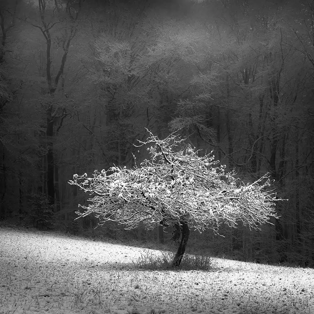 Odenwald by Harald Weimann