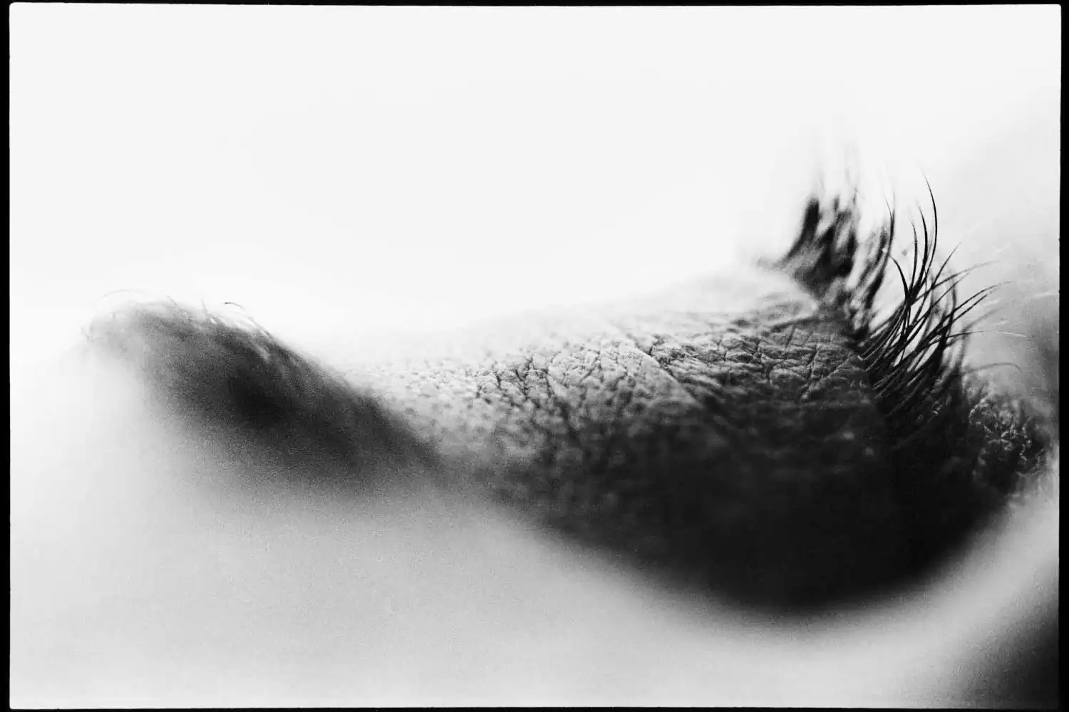 Dream construction by Cyrille Druart