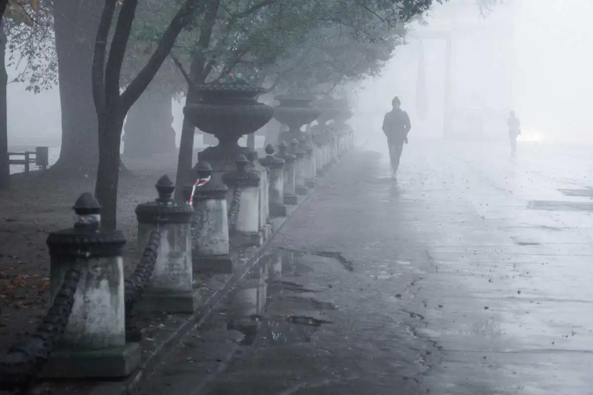 100ft by Mikhail Karalashan