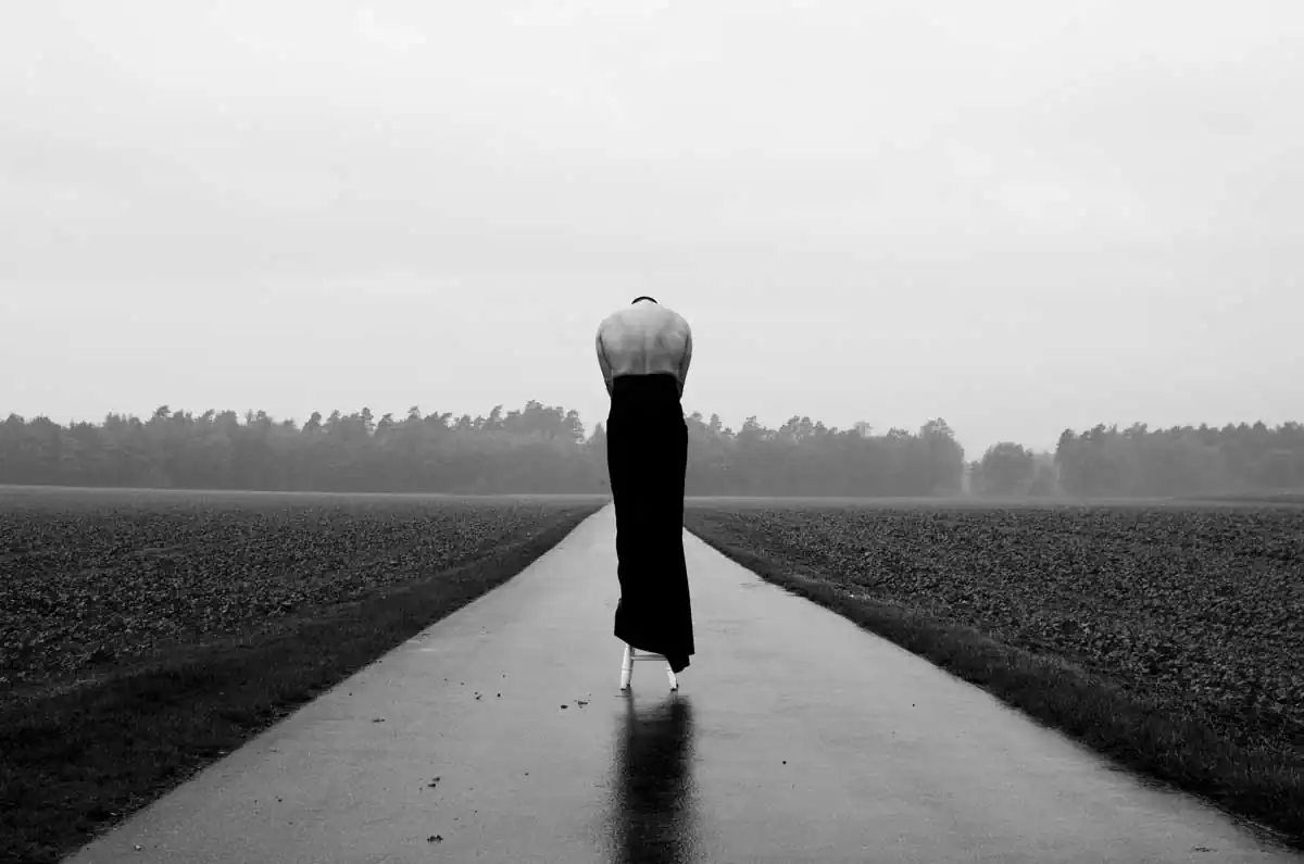 Birds and People by Michał Konrad