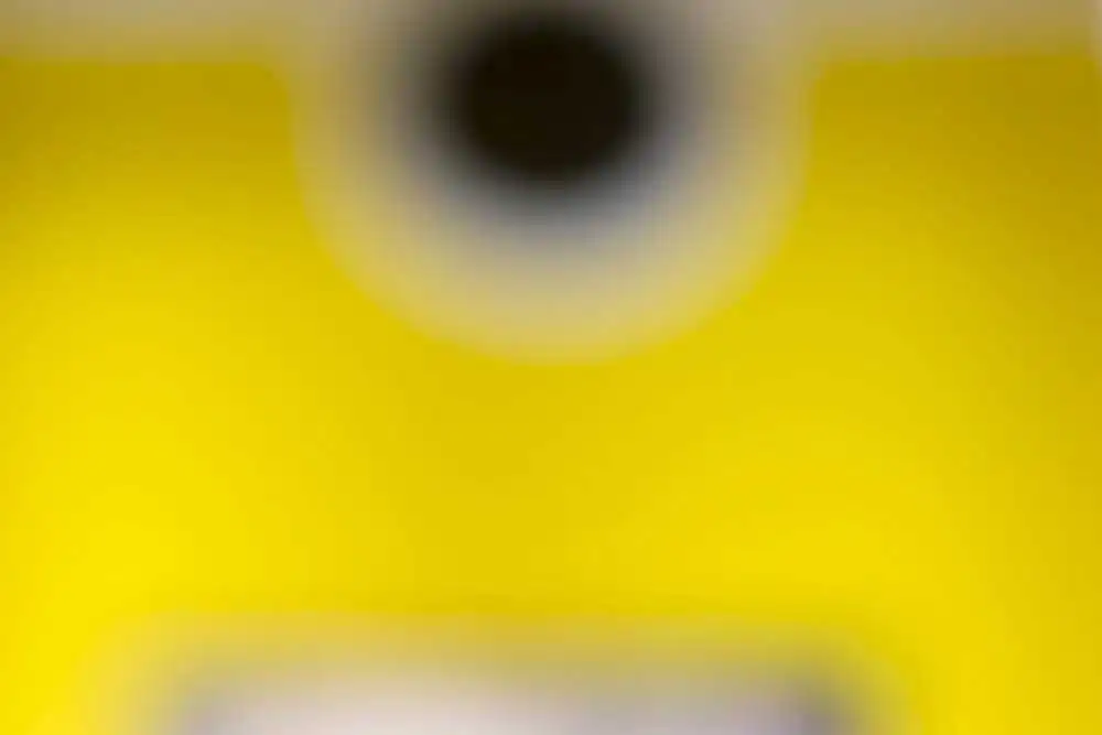 Walls and Windows by Henrietta Richer