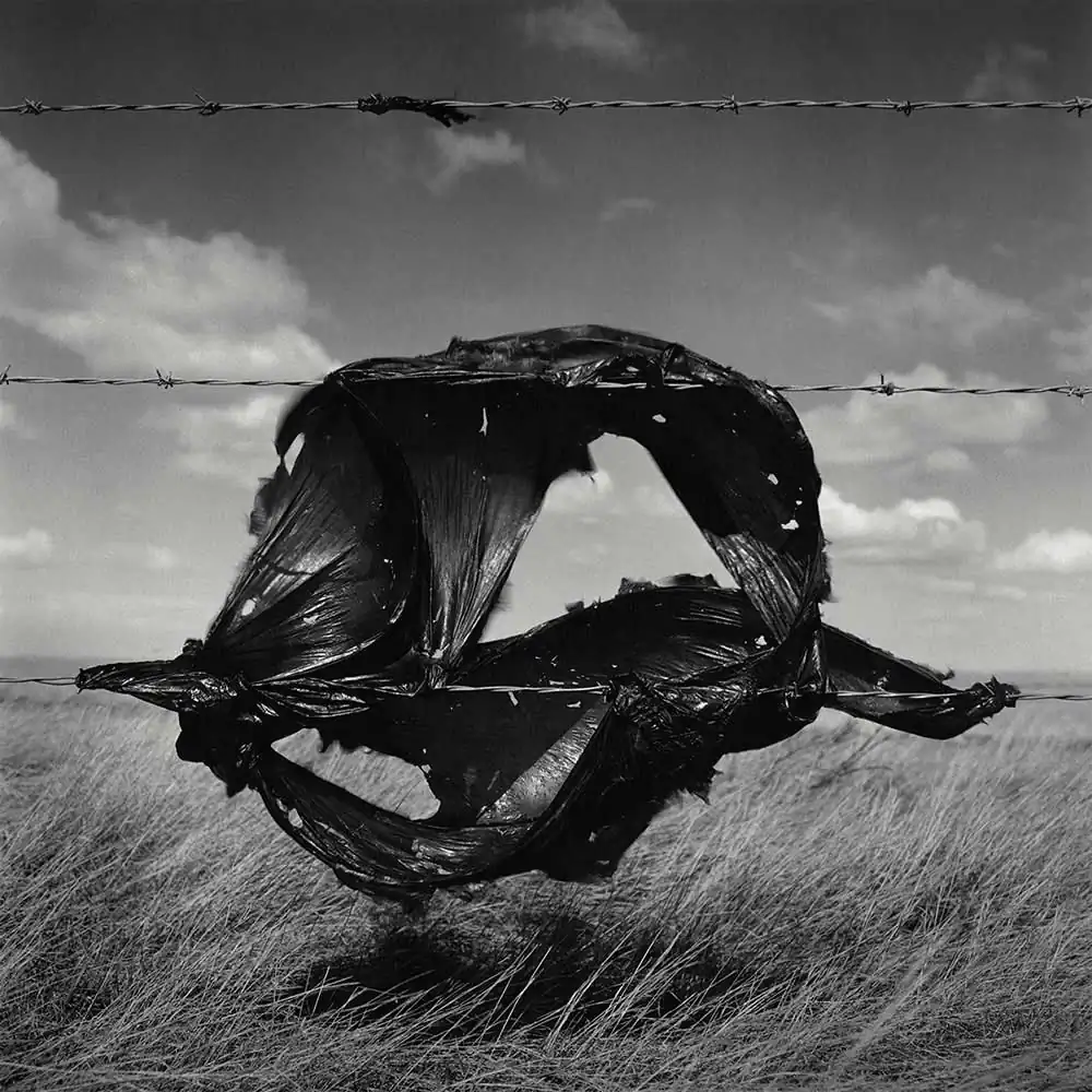 Unraveling Snag by Wes Bell