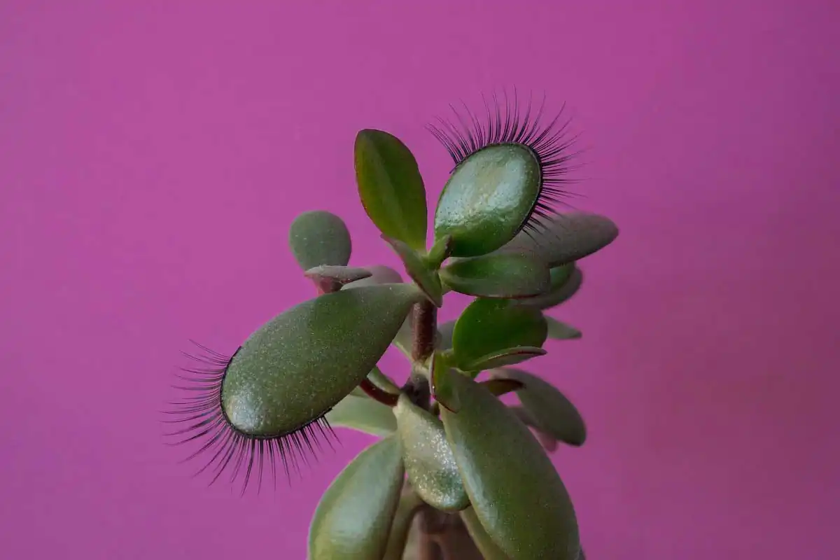 Copypaste  by Tata Gorian