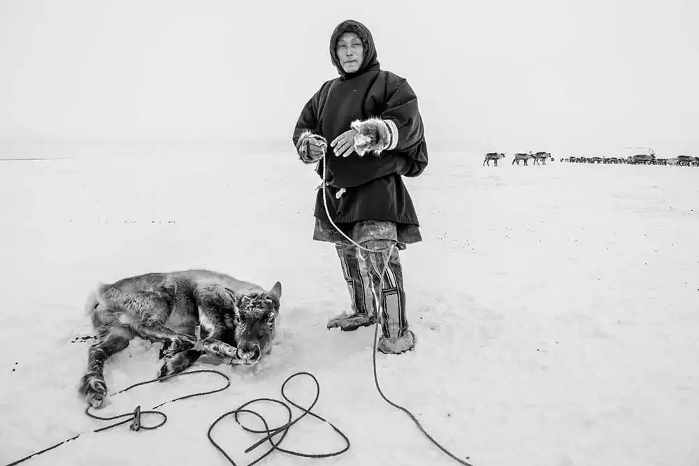 Yamal by Marco Marcone