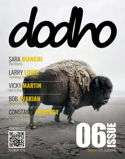 https://www.dodho.com/wp-content/uploads/2018/12/cover6-PRINT-copy-430x547.jpg