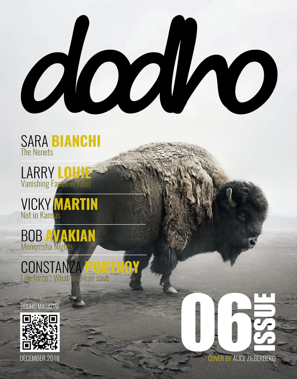 https://www.dodho.com/wp-content/uploads/2018/12/cover6.webp