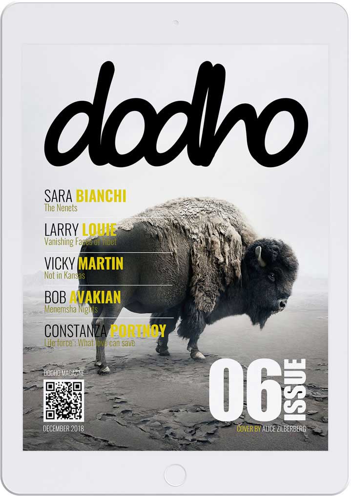 https://www.dodho.com/wp-content/uploads/2018/12/dig06.jpg