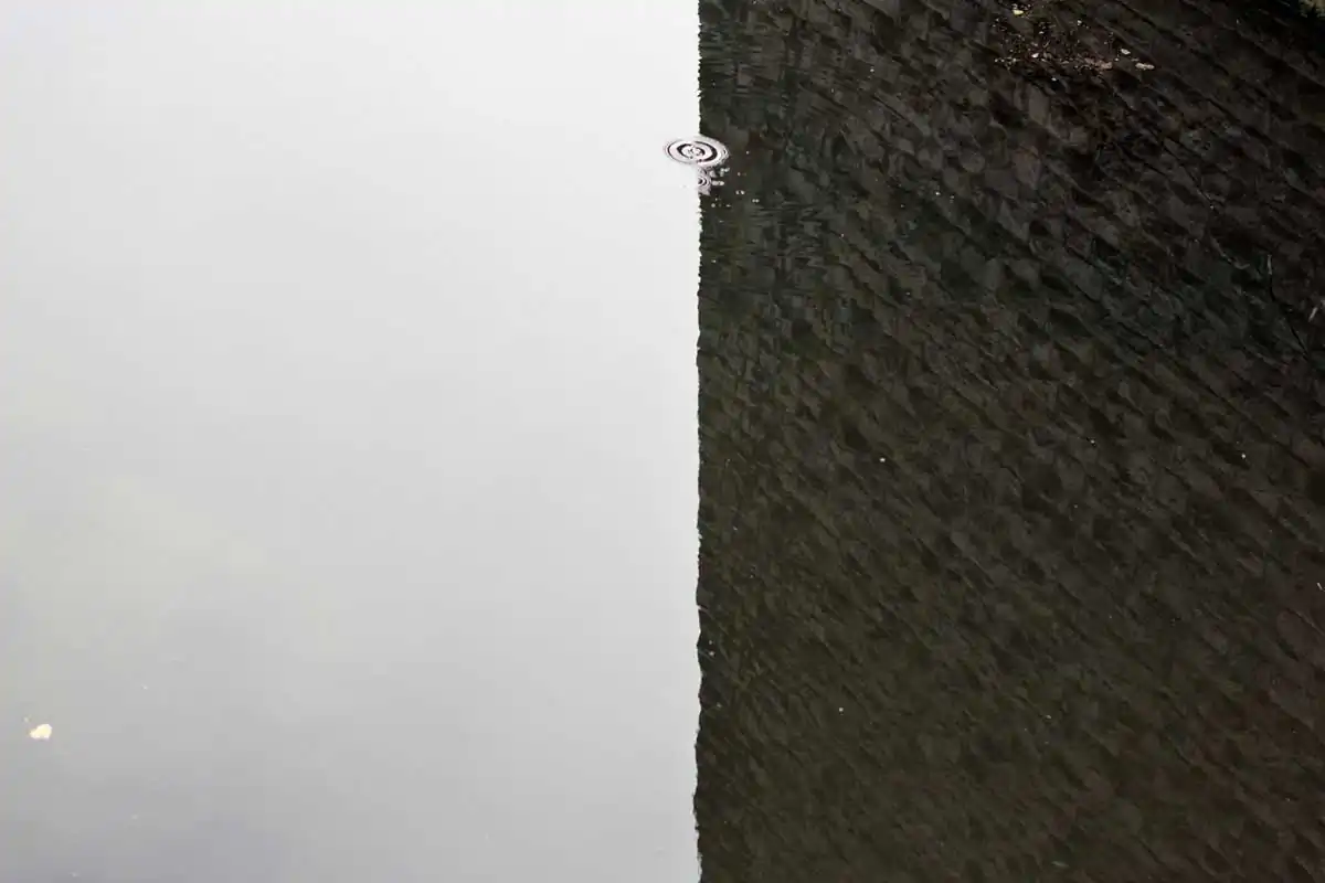 Just Small Hiccups by Anni Hanén