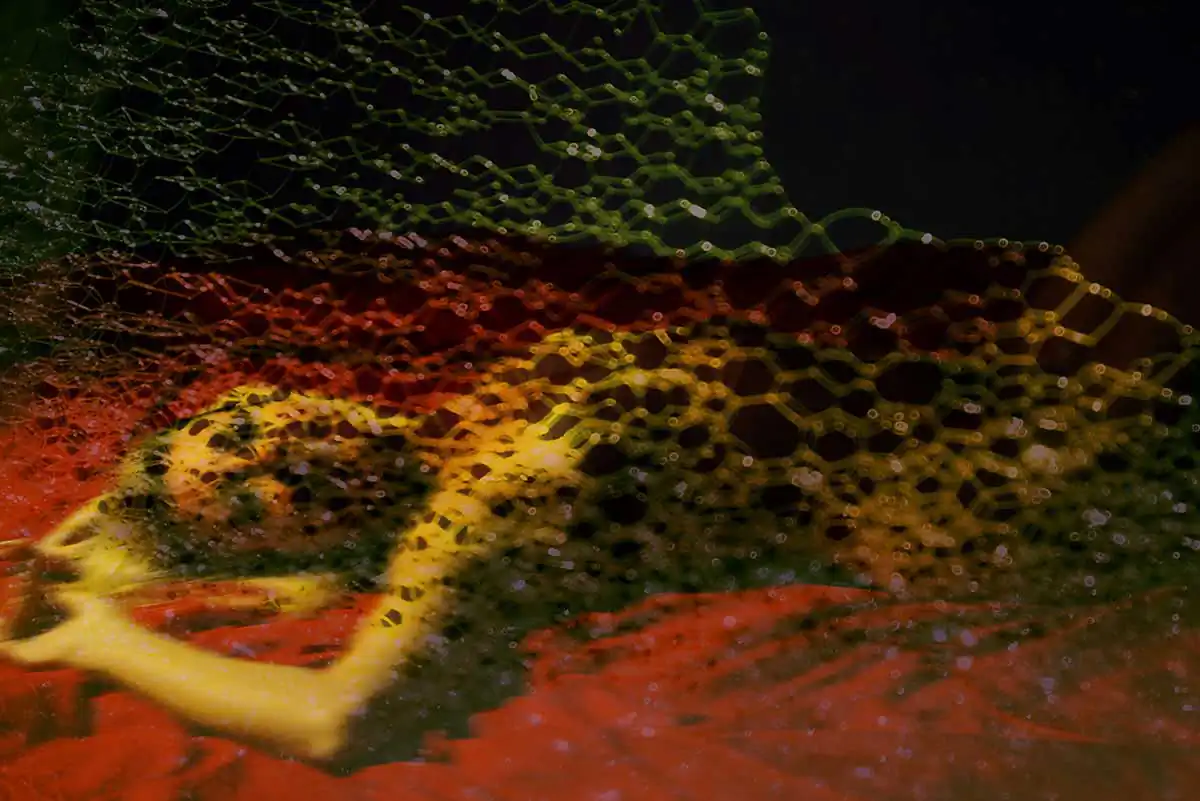 Sexuality : Windows by Mike Chaiken