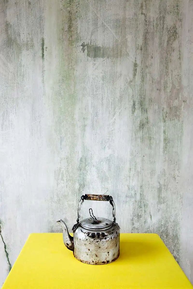 Rosa Hacks by Nadine Stijns