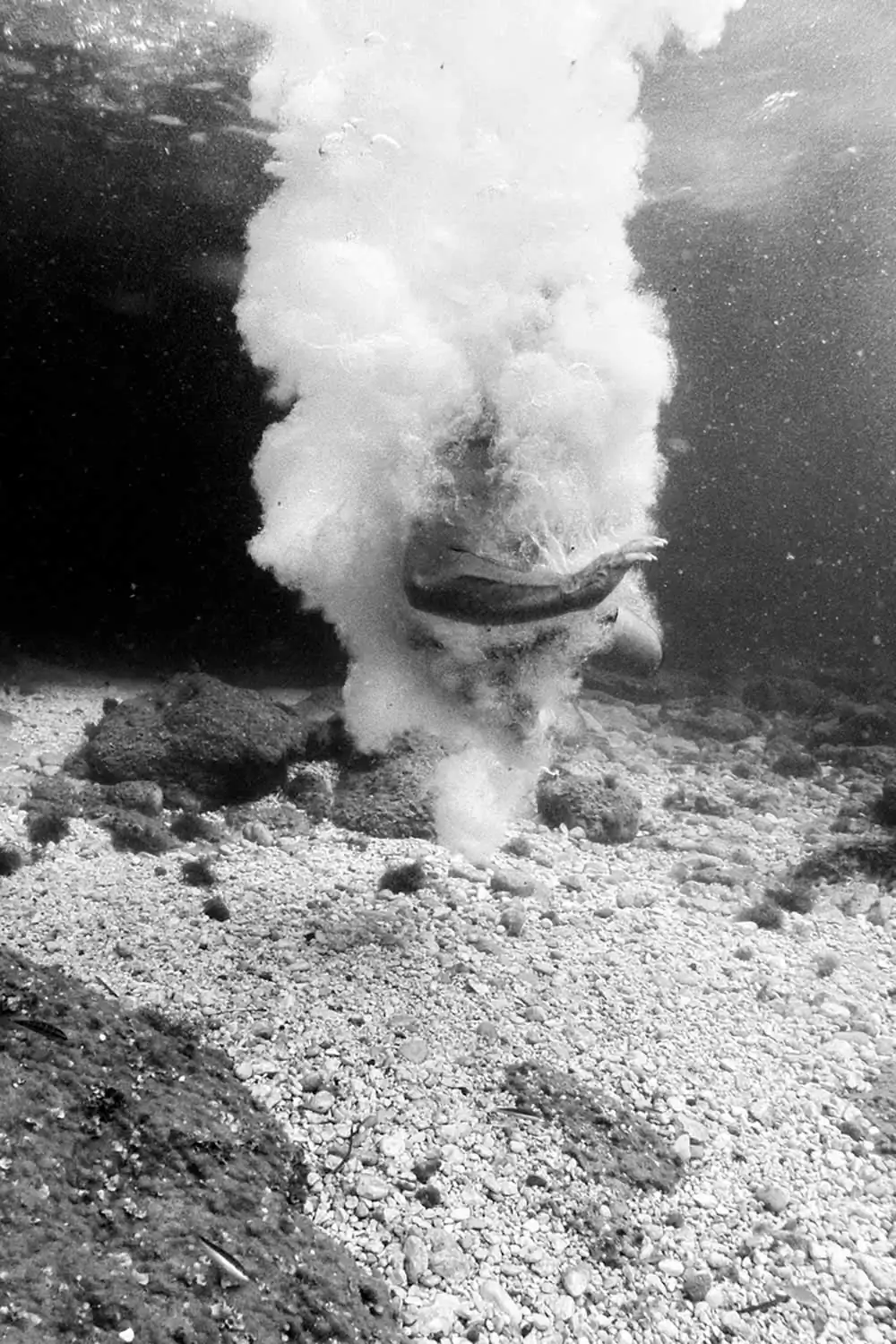 Summertime by María Sainz Arandia