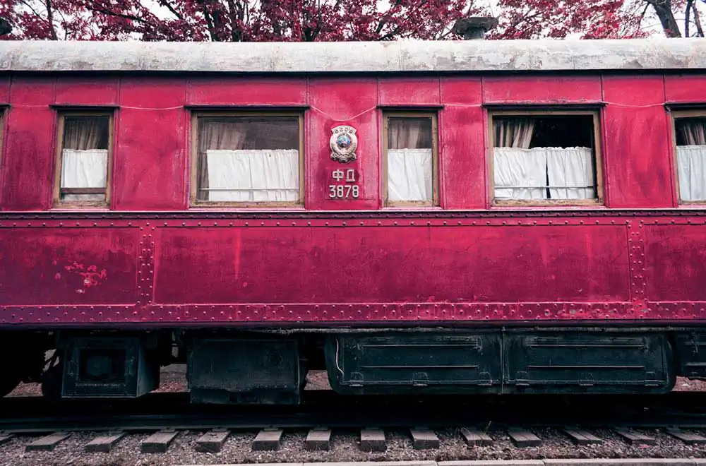 The Great Red Paranoia by Revaz Kacharava