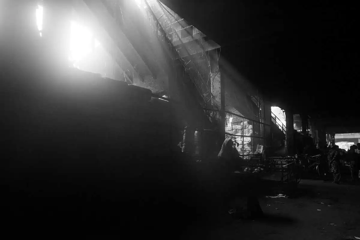 Of foxes and dames and the doom by Anirban Mandal