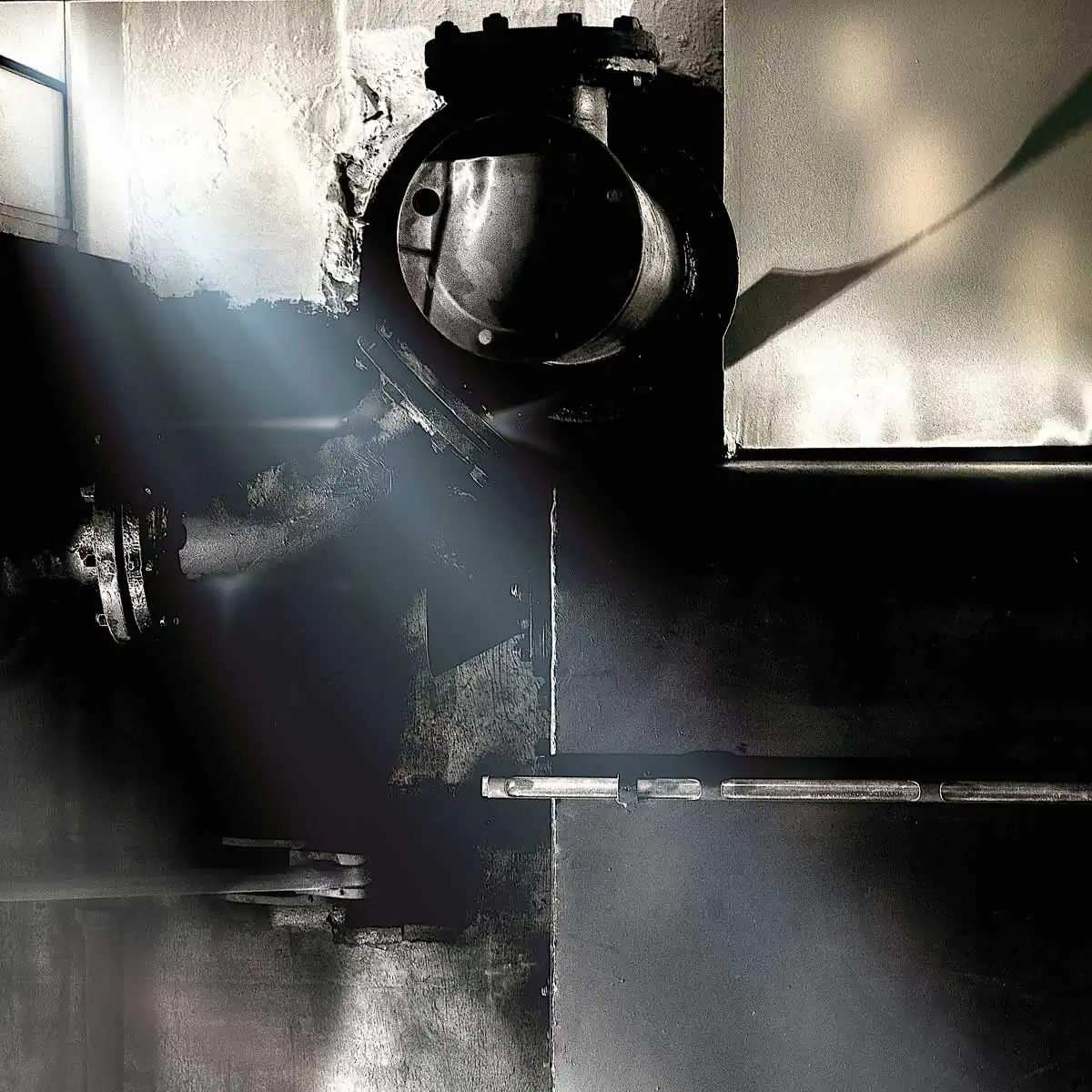 Birdy Tg Exhibition at the Mark Rothko Museum Daugavpils