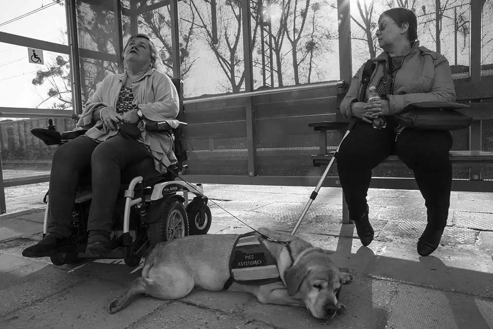 Visual impairment by Magdalena Grela