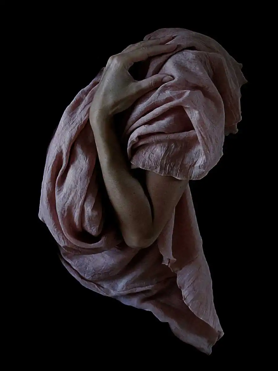 Lift not the painted veil by Valerie Decleer