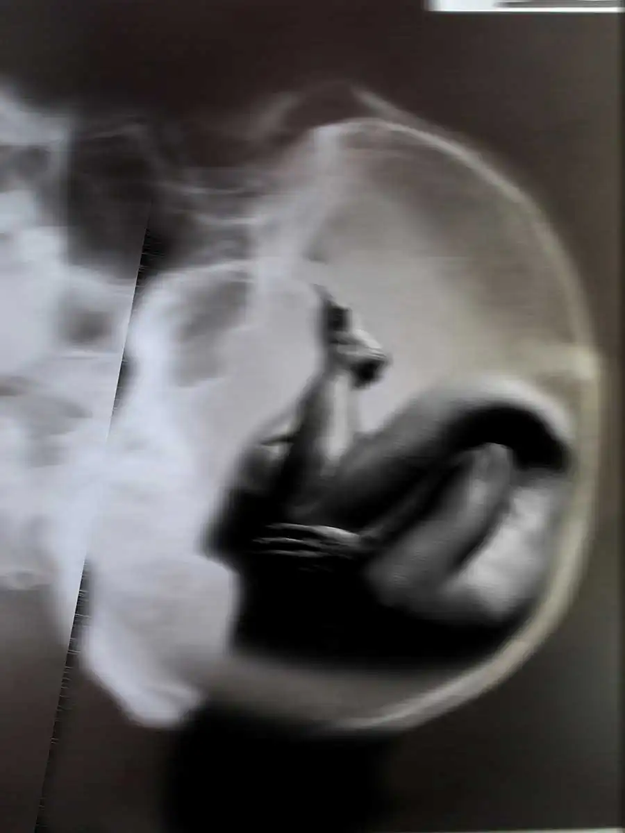 Thanatophobia by Valerie Decleer