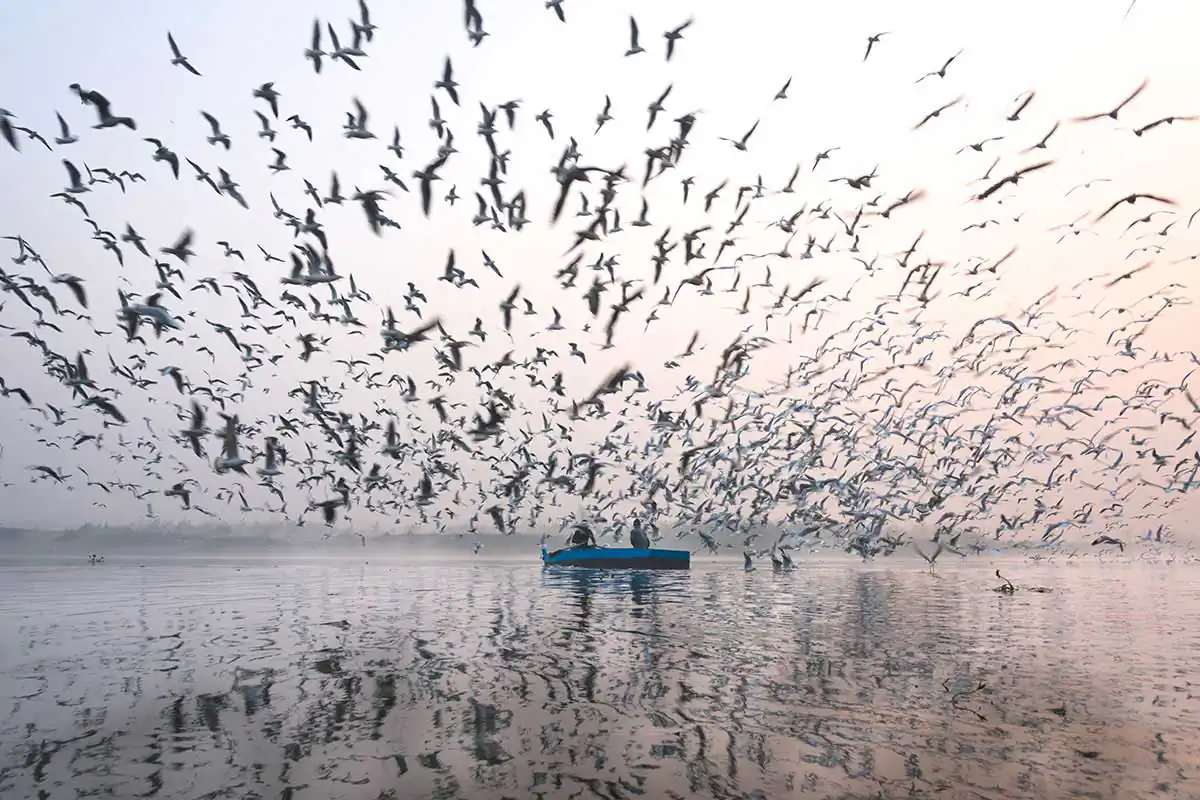 Yamuna: The Other Side of the Bank by Jai Thakur