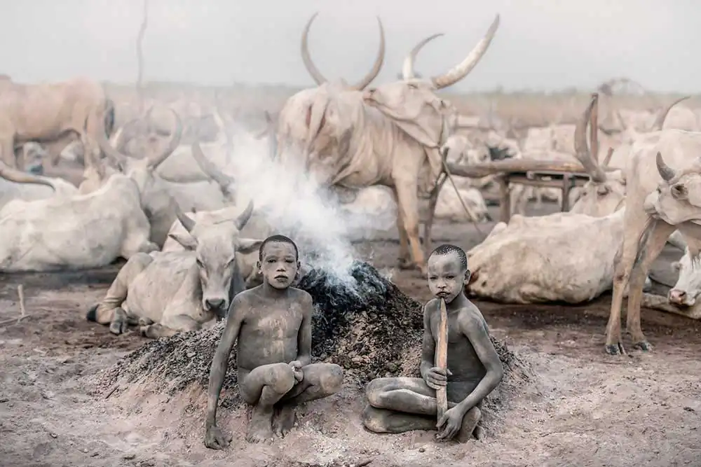 Mundari cattle camp by Trevor Cole