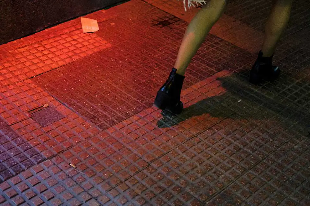 Nocturama by Jose Carpin