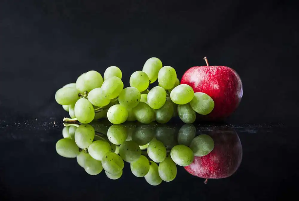 Best Still Life Shots