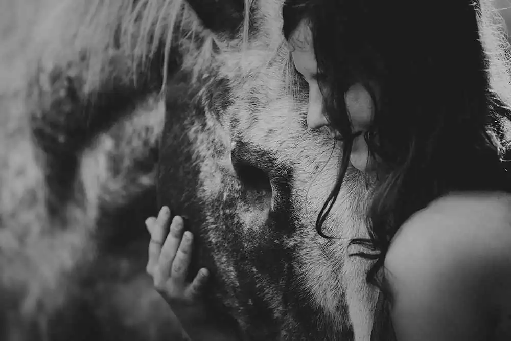 The elegance, power and grace of the horses by Pia Fabienke