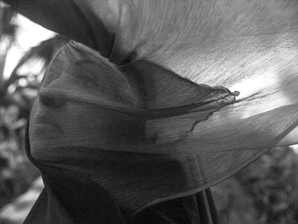 The shadow by Labkhand Olfatmanesh