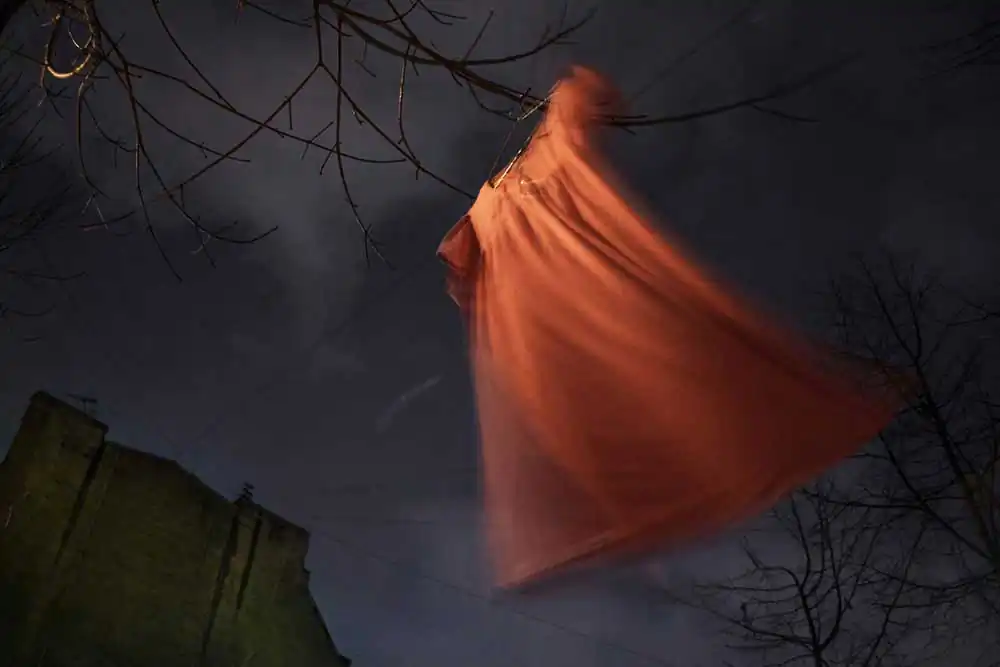 My green room by Svetlana Tarasova