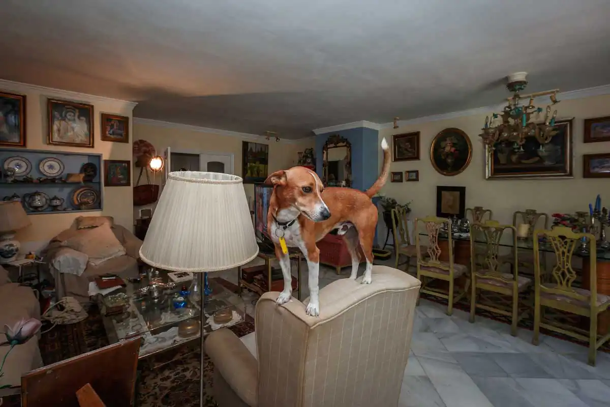 Welcome Home by Nick Gandano