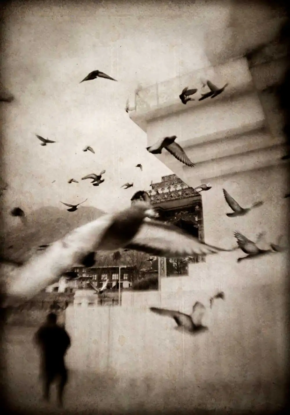 Bhutan | Richard Murai