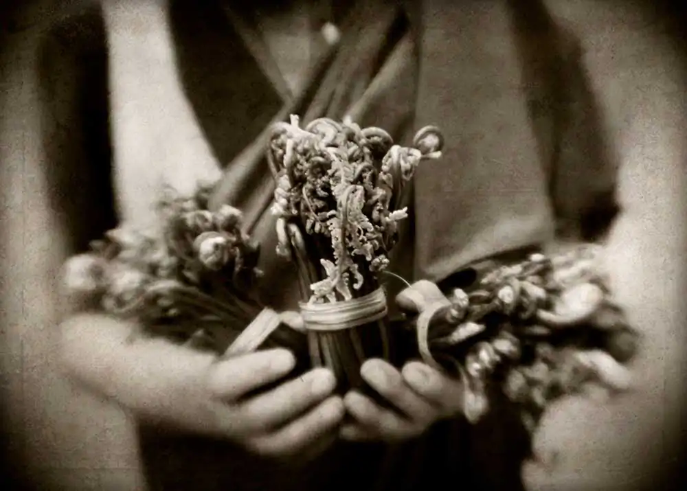 Bhutan | Richard Murai