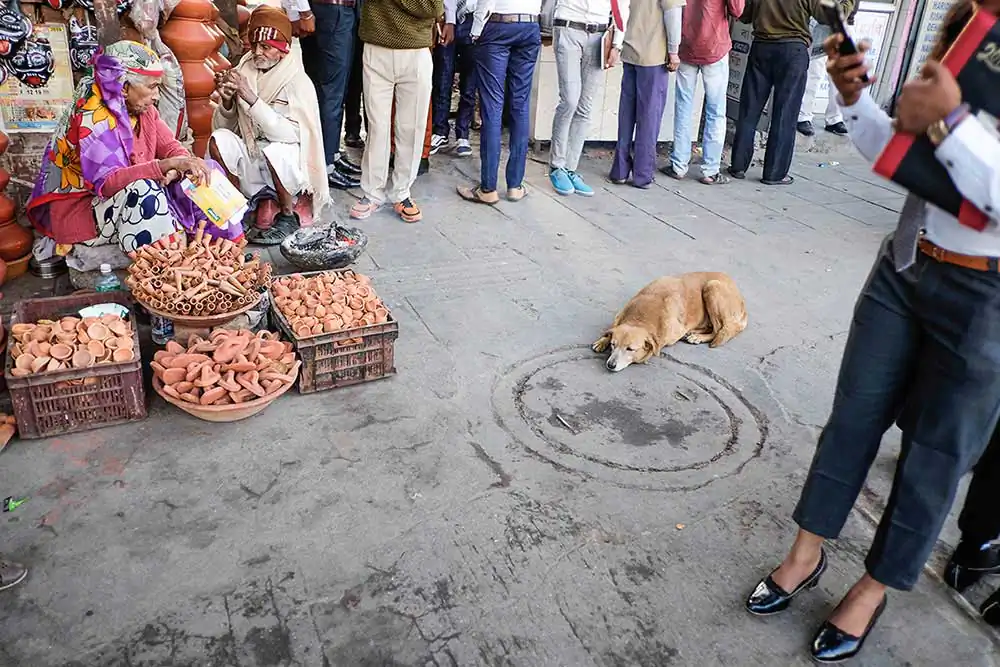 Delhi - A City Brimming with Life | Amlan Sanyal