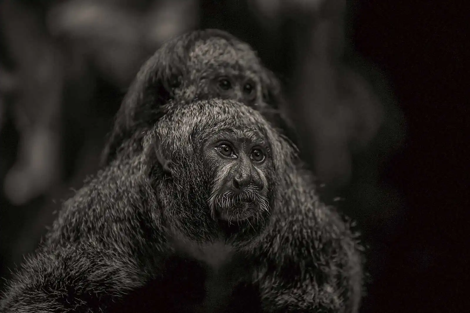 Life within Boundaries by Ravikumar Jambunathan