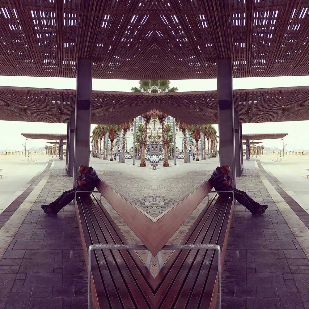 Sleeping Rough | Dana Taylor