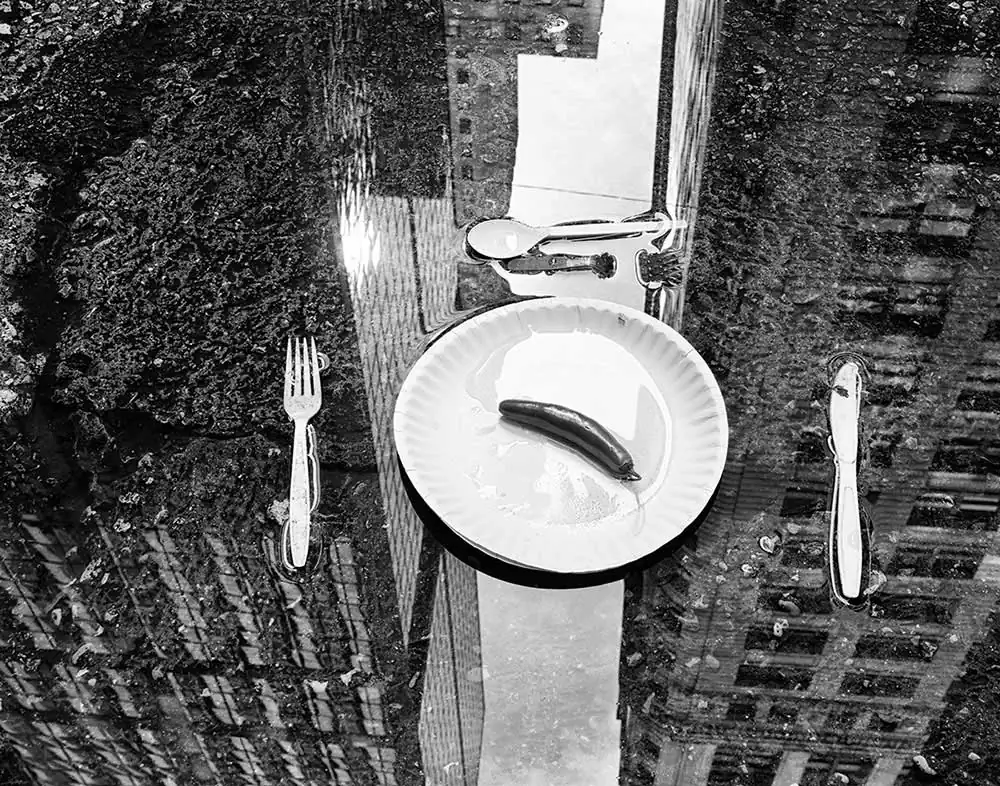 Discarded by Steve Geer